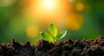 Freuds Einsichten zur Akzeptanz von Veränderungen (7/10)